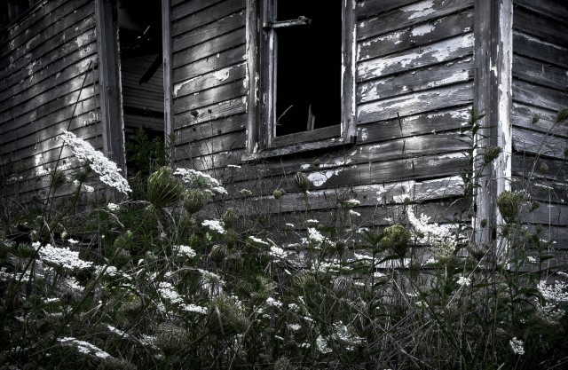 Image of Abandoned Home in the Woods by Mike Key from Georgetown
